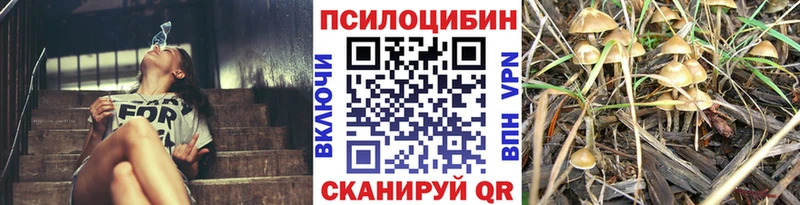 Псилоцибиновые грибы MAGIC MUSHROOMS  МЕГА ТОР  Хилок 