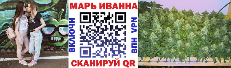 Шишки марихуана AK-47  мега как зайти  маркетплейс состав  дарнет шоп  Хилок 